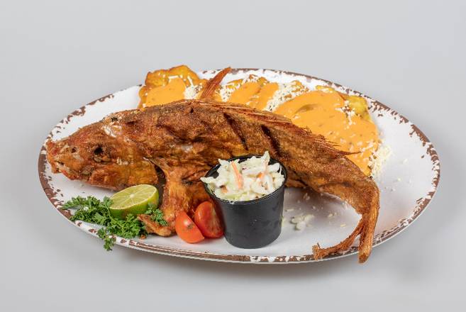 Order SNAPPER FISH food online from Francisca Charcoal Chicken & Meats store, Miami on bringmethat.com