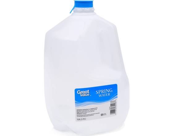 Order Spring water 1 Gallon  food online from Fresko Market store, Miami on bringmethat.com