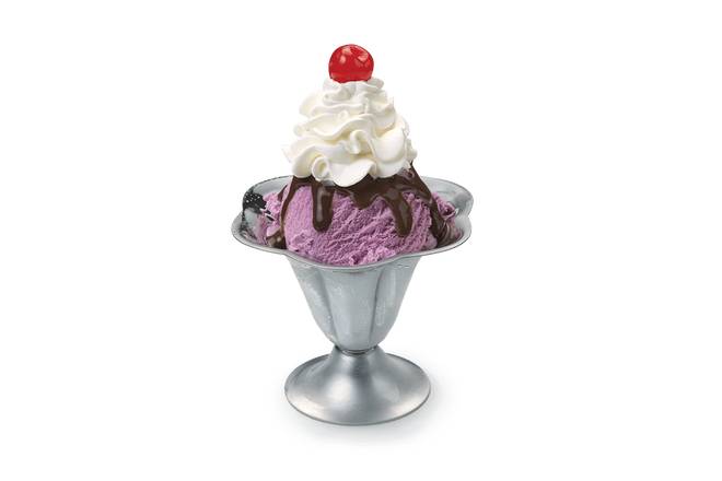 Order Build Your Own - Small Sundae  food online from Friendly's store, Pembroke on bringmethat.com