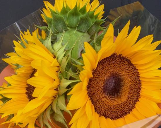 Order Sunflowers Bouquet food online from Claudia's Flowers store, North Miami on bringmethat.com