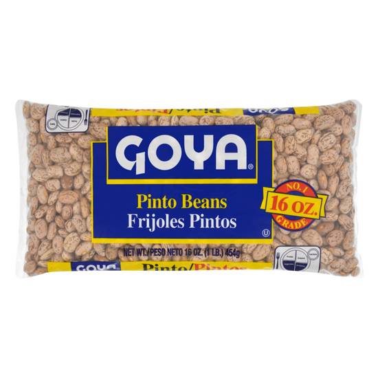 Order Goya Dry Pinto Beans 16oz food online from Everyday Needs by Gopuff store, Tampa on bringmethat.com