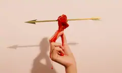 Cupid's Wings