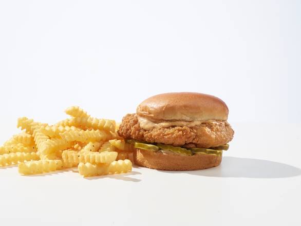 Order Crispy Chicken Combo food online from Burger Experience store, Orlando on bringmethat.com