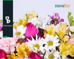 Nova Flor (Campo Grande)đđ