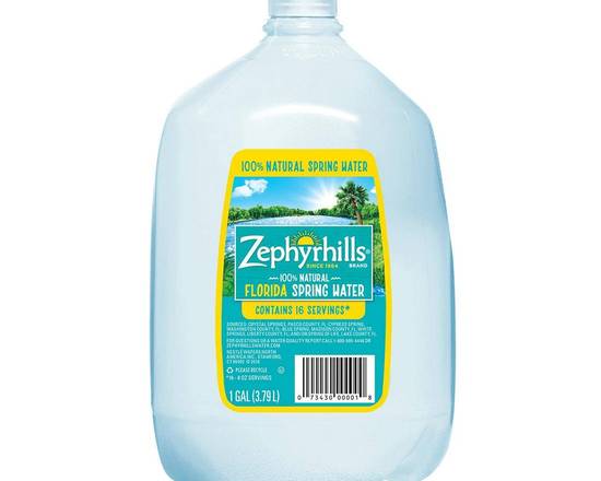 Order Zephyrhills 1 Galon food online from Alton Food Plaza store, Miami Beach on bringmethat.com