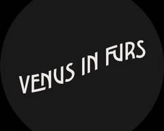 Venus in Furs