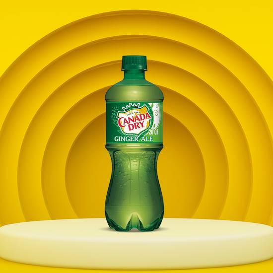 Order Canada Dry Ginger Ale 2 L Pl food online from Power Market 3043 store, Fairfield on bringmethat.com