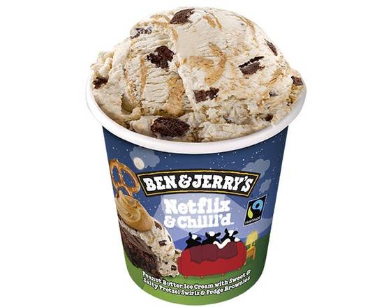 Order Ben and Jerrys Netflix N Chilled  food online from Fresko Market store, Miami on bringmethat.com
