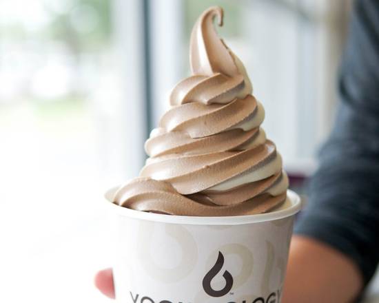 Order Vanilla + Chocolate - Flavor Swirl food online from Yogurtology - Church Ave store, Tampa on bringmethat.com