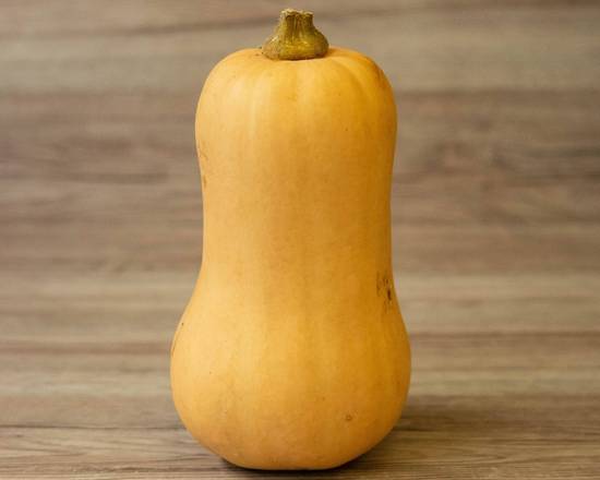 Courge Butternut BIO - France