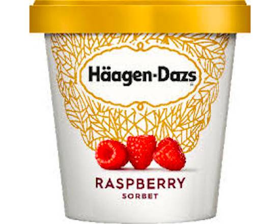 Order Haagen Dazs Raspberry Sorbet Pint food online from George's Market store, San Francisco on bringmethat.com