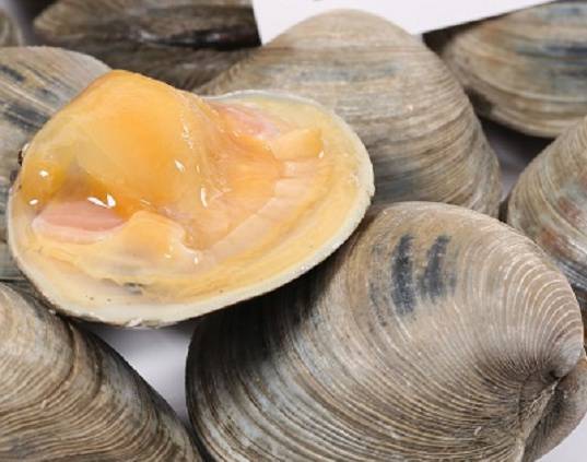 Order Cherrystone Clams Dozen food online from Parc Oasis store, New York on bringmethat.com