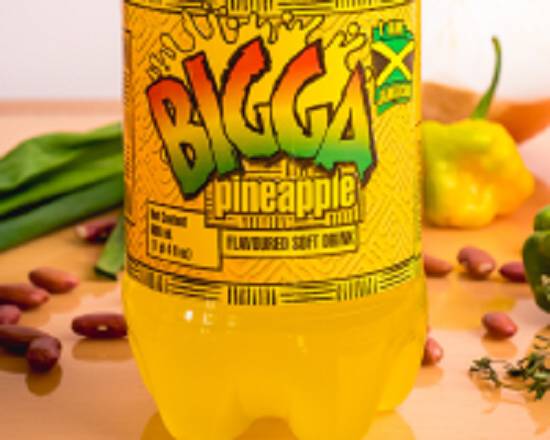 Order Bigga food online from Golden Krust store, Pine Hills on bringmethat.com