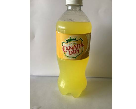 Order Canada Dry Pineapple 20oz food online from Carib Grill Caribbean Restaurant store, Upper Darby on bringmethat.com
