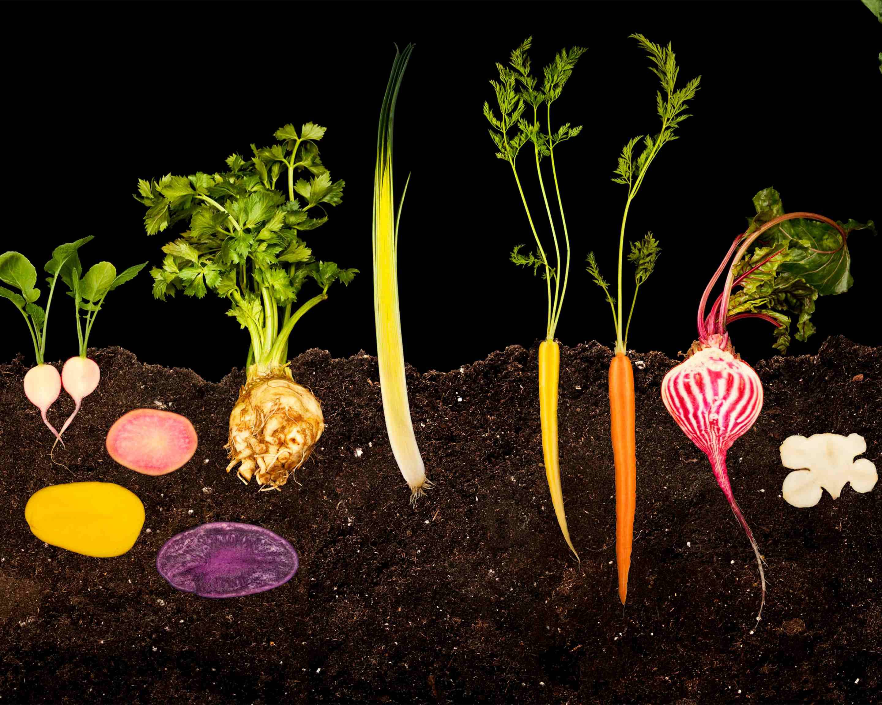 [TEST] Merchant Sydney Menu Takeout in Sydney Delivery Menu & Prices