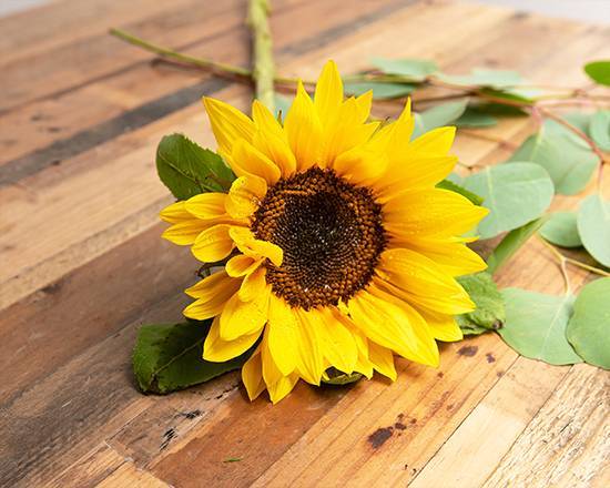 Order Sunflower food online from @flowers Brier Creek store, Raleigh on bringmethat.com