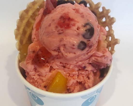 Order Citric Substance food online from Sub Zero Ice Cream & Yogurt store, Sarasota on bringmethat.com