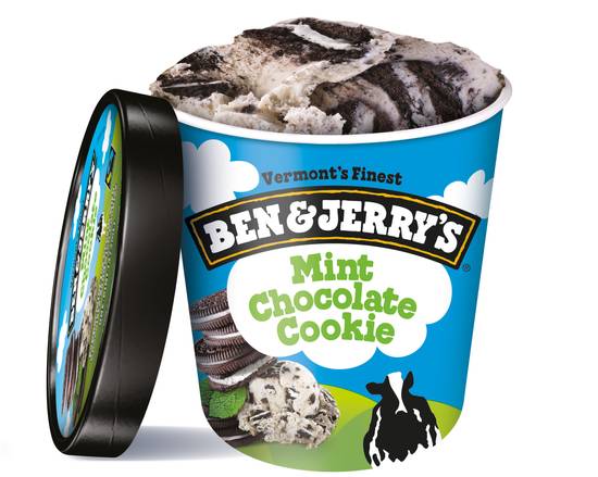 Order Mint Chocolate Cookie food online from Ben & Jerry store, Nashville on bringmethat.com