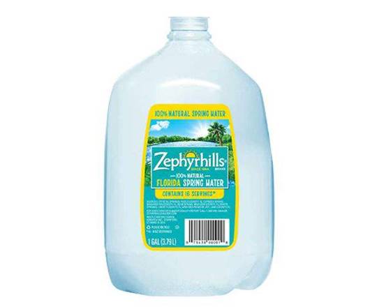 Order Zephyrhills (1 gal) food online from Shell store, Tampa on bringmethat.com