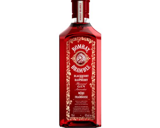 Order Bombay Bramble, 750ML, Blackberry & Raspberry GIN (43% ABV) food online from Golden Ox Liquors store, Saint Augustine on bringmethat.com