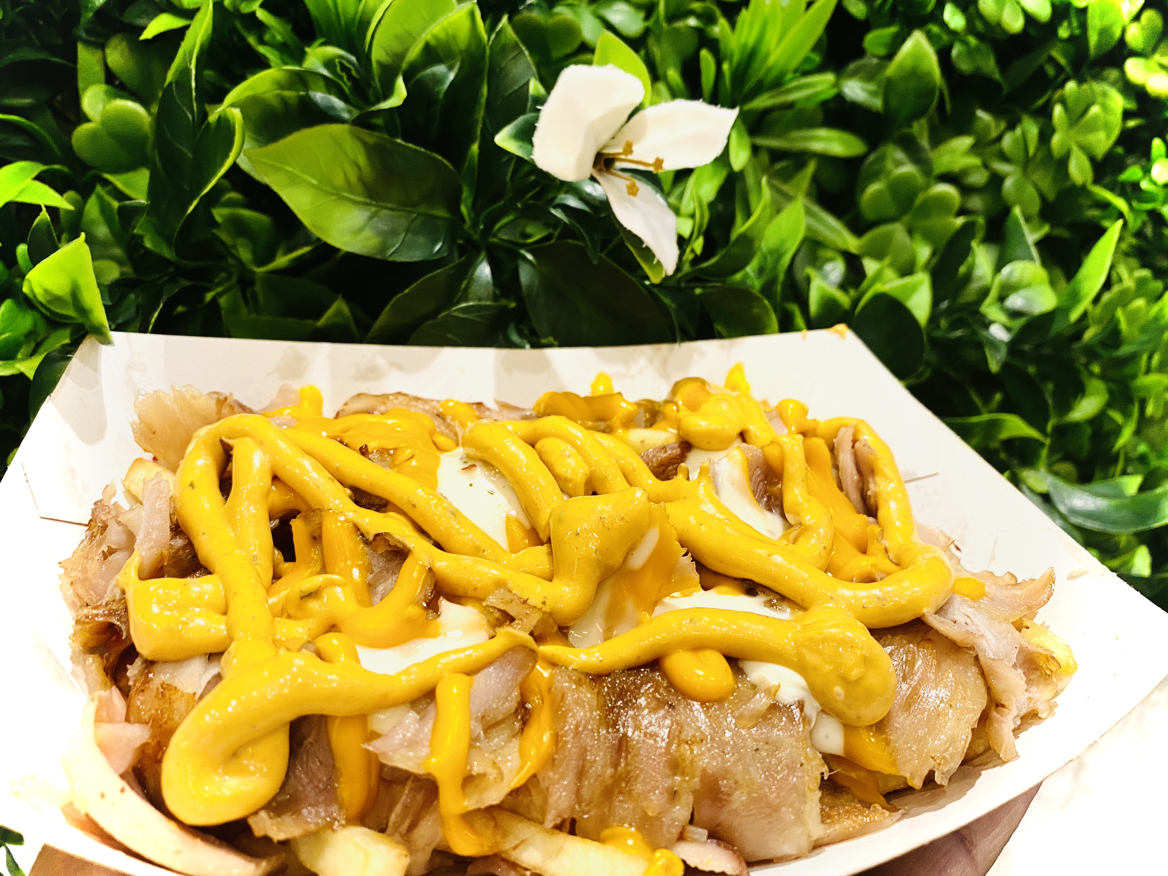 Cheesy fries "poutine frites"