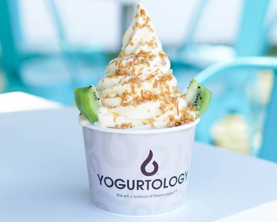 Order Cheesecake (No Sugar Added) food online from Yogurtology- Gainesville store, Gainesville on bringmethat.com