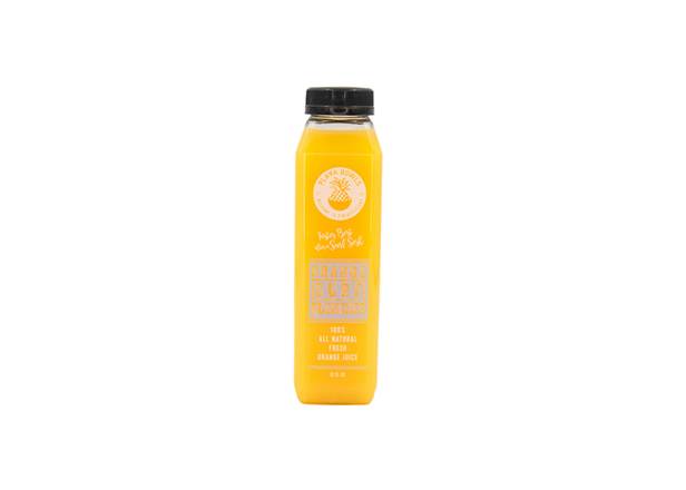 Order Orange Surf Quencher food online from Playa Bowls store, Fort Myers on bringmethat.com