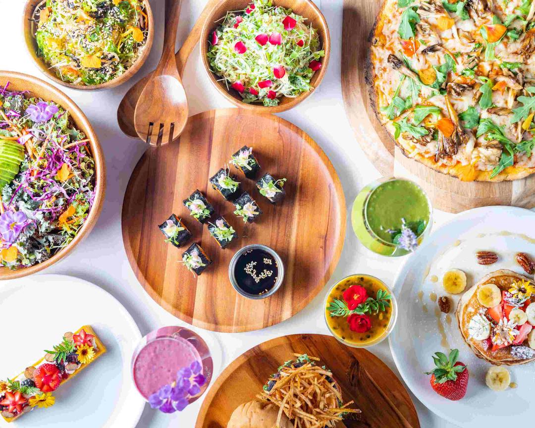 Order Plant Miami Delivery Online Miami Menu &amp; Prices