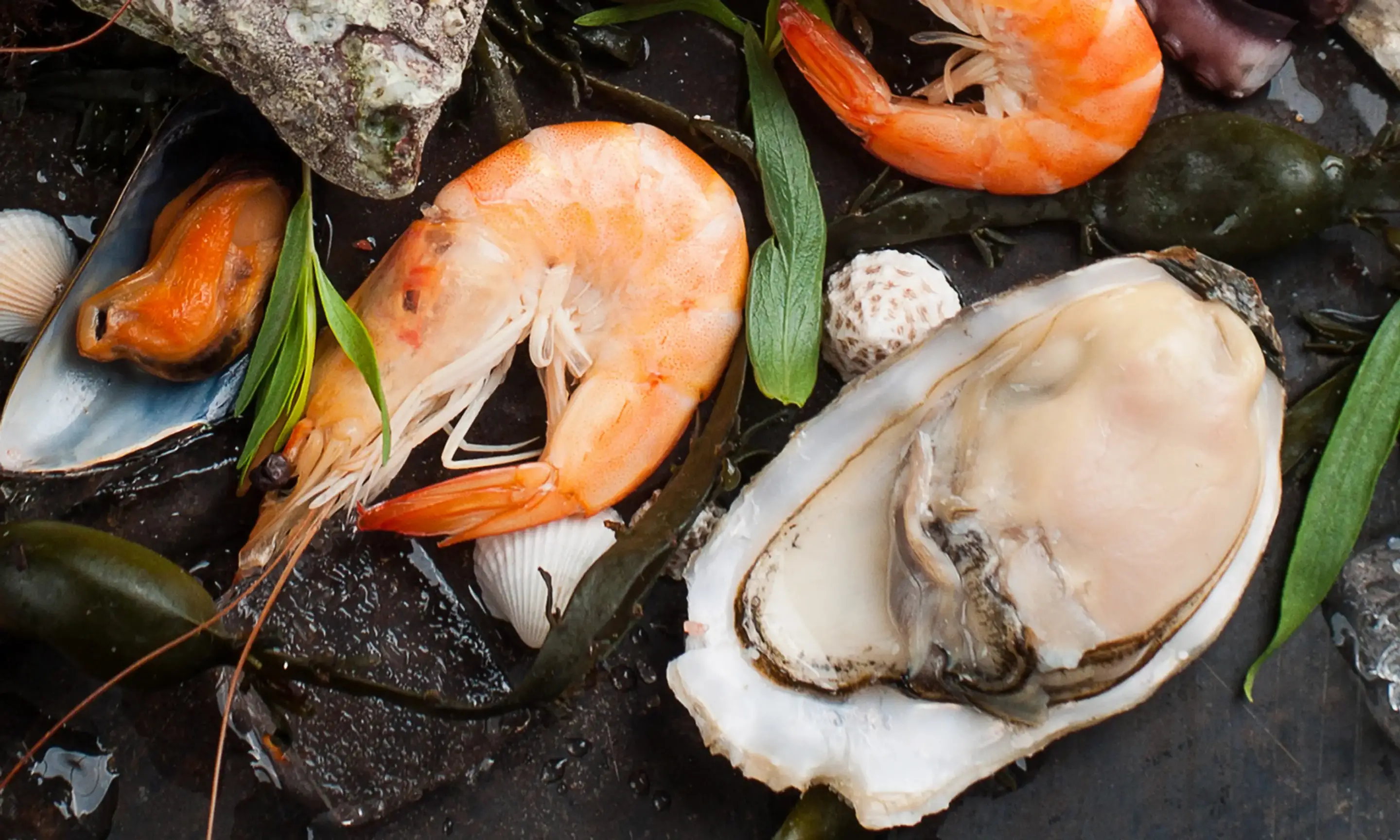 Order NOLA Cajun Kitchen Menu Delivery【Menu & Prices】 340 W Boylston