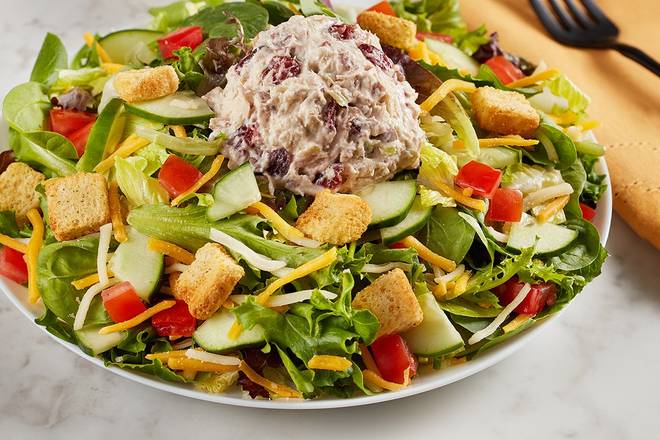 Order Harvest Chicken Salad (contains pecans) food online from Mcalister Deli store, Mcallen on bringmethat.com