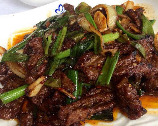Order 27. Beef with Cumin Flavor food online from Mulan Asian Bistro - Houston Levee store, Germantown on bringmethat.com