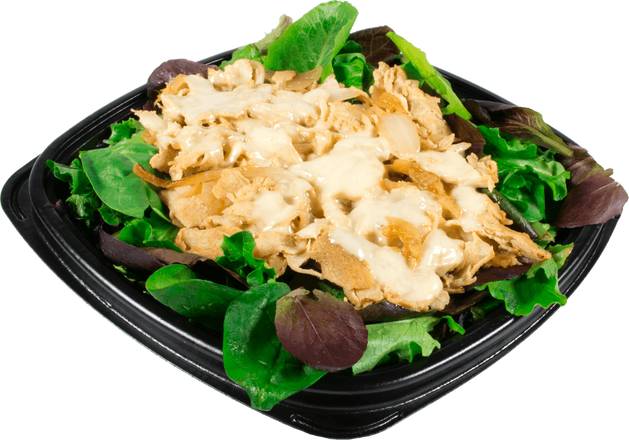 Order Chicken Philly Salad food online from Lenny Sub Shop store, Cape Coral on bringmethat.com