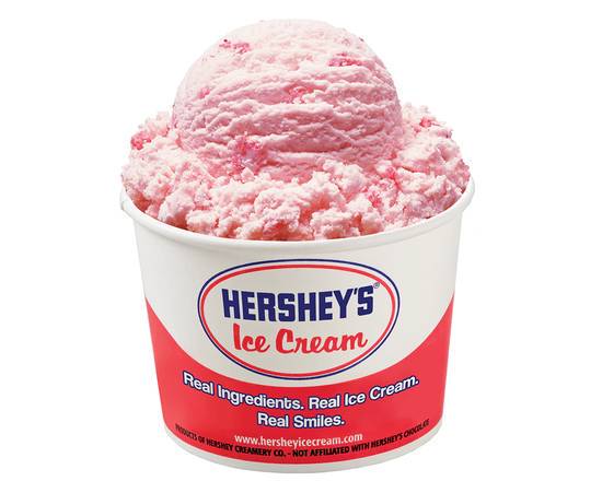 Order Single Scoop Hershey's Ice Cream food online from Ben Soft Pretzels store, Warsaw on bringmethat.com