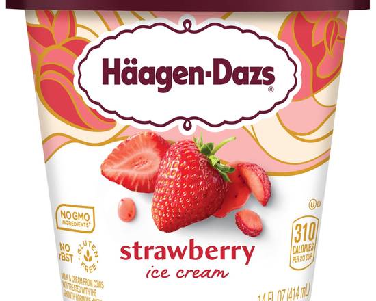 Order  HAAGEN-DAZS Strawberry Pint  food online from Fresko Market store, Miami on bringmethat.com