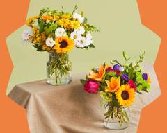 ProFlowers (980 J CLYDE MORRIS BLVD STE 120)