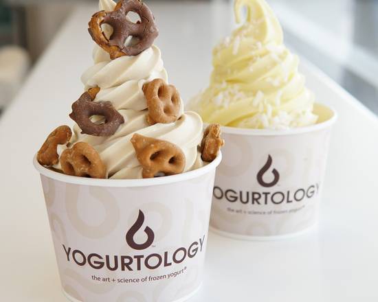 Order Salted Caramel PremiYum™ food online from Yogurtology store, Tampa on bringmethat.com