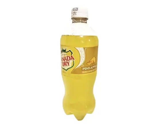 Order Canada Dry Pineapple 20oz food online from Fresko Market store, Miami on bringmethat.com