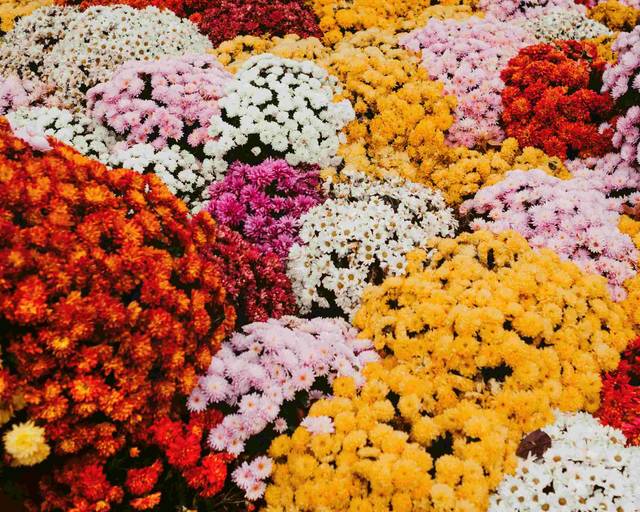 THE 10 BEST Organic Food Delivery in Panamá Order Organic Food Near