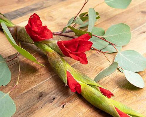 Order Gladiolus food online from @flowers Brier Creek store, Raleigh on bringmethat.com
