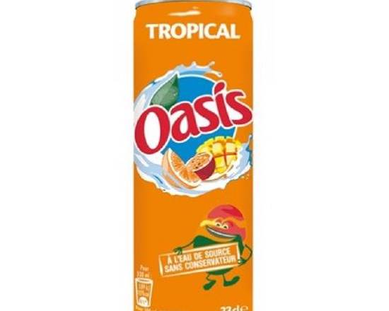 Oasis tropical