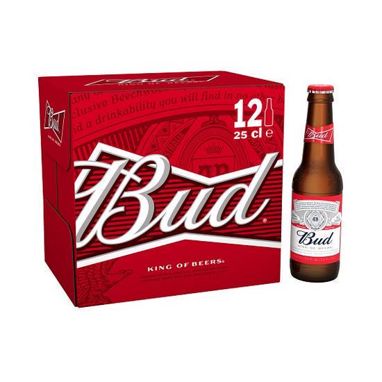 B U D 20X25CL