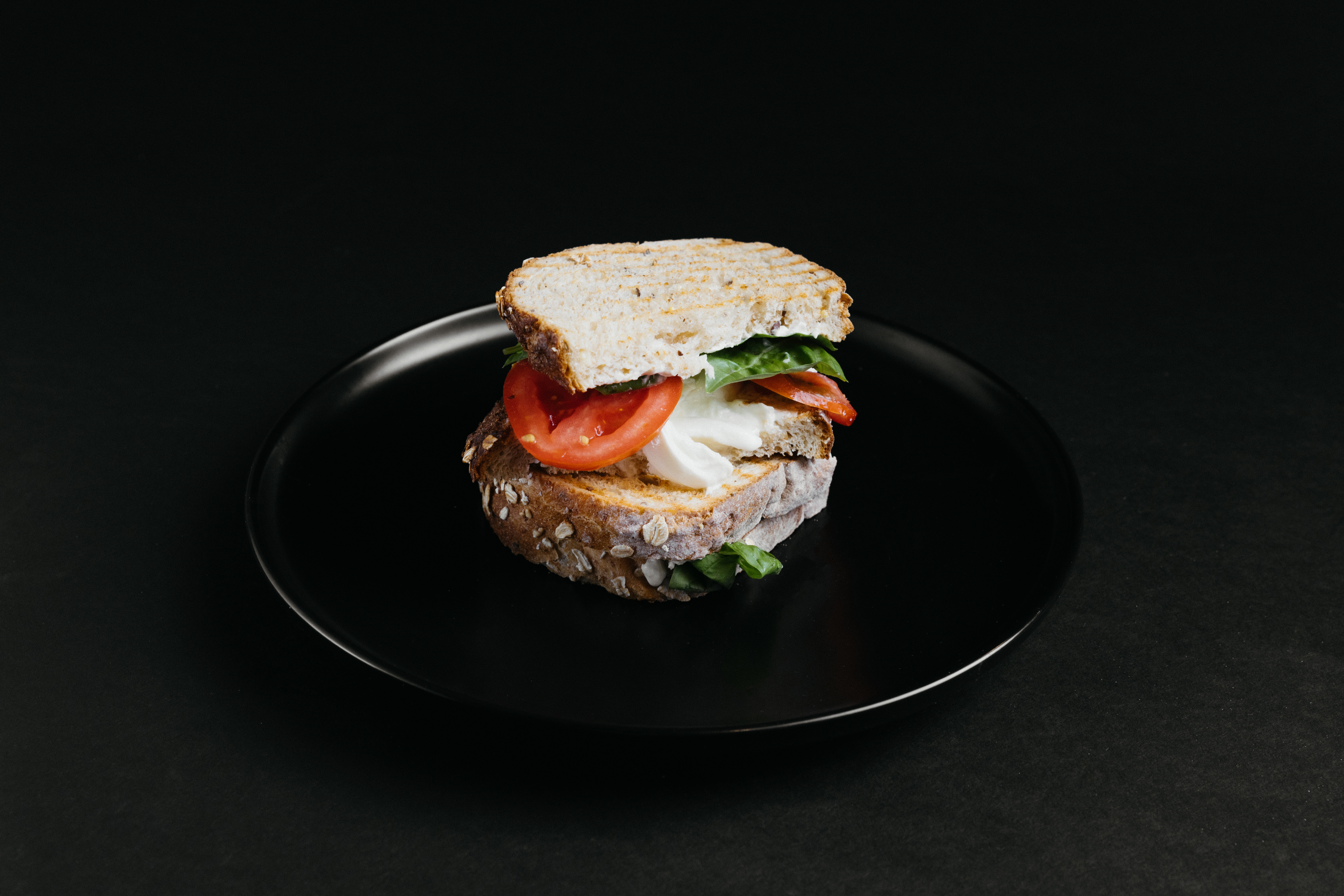 Mozzarella and Basil Sandwich
