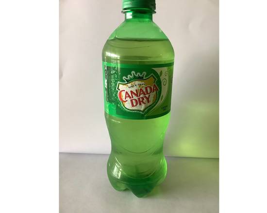 Order Canada Dry Ginger Ale 20oz food online from Carib Grill Caribbean Restaurant store, Upper Darby on bringmethat.com