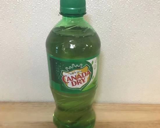Order Bottle Ginger ale food online from New Golden House store, Philadelphia on bringmethat.com