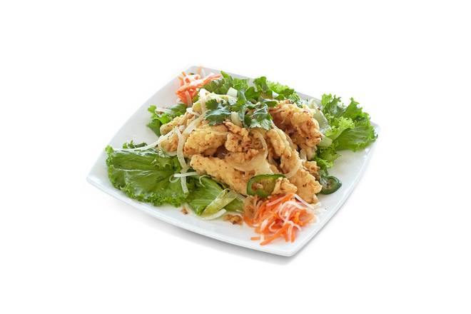 Order Fried garlic salted calamari (Mực Rang Muối) food online from Pho Hai Duong store, Annandale on bringmethat.com