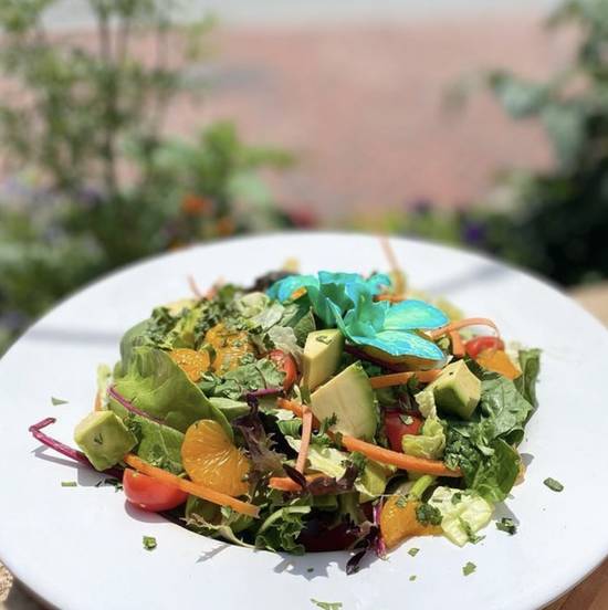 Order Terra Luna Salad food online from Terra Luna Cafe store, Providence on bringmethat.com