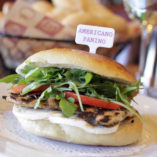 Order Americano Panini food online from Mama Theresa's store, Westbury on bringmethat.com